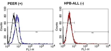 Anti-TCR delta TCS1 antibody [TS-1] (FITC) used in Flow cytometry (FCM). GTX15593