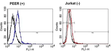 Anti-TCR gamma + delta antibody [5A6.E91] (FITC) used in Flow cytometry (FCM). GTX15596
