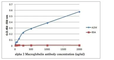 Anti-alpha 2 Macroglobulin antibody [F1-P1C11 #3] used in ELISA (ELISA). GTX15643