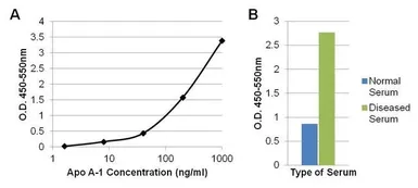 Anti-Apolipoprotein A1 antibody [311] used in ELISA (ELISA). GTX15657