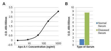 Anti-Apolipoprotein A1 antibody [6001] used in ELISA (ELISA). GTX15660