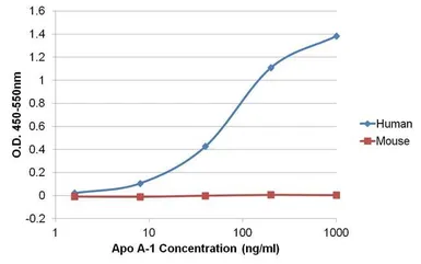 Anti-Apolipoprotein A1 antibody [6001] used in ELISA (ELISA). GTX15660