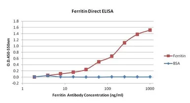 Anti-Ferritin antibody [321B7] used in ELISA (ELISA). GTX15743