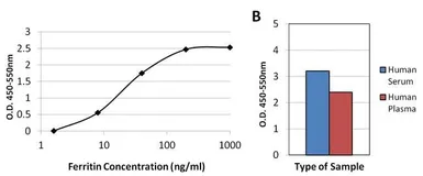 Anti-Ferritin antibody [321B7] used in ELISA (ELISA). GTX15743