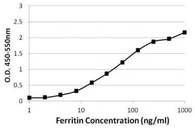 Anti-Ferritin antibody [101] used in ELISA (ELISA). GTX15746
