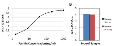 Anti-Ferritin antibody [101] used in ELISA (ELISA). GTX15746