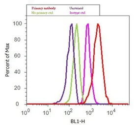 Anti-alpha 1 Antitrypsin antibody [TMF1#4B5] used in Flow cytometry (FCM). GTX15777