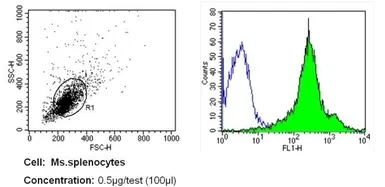 Anti-CD11a antibody [121/7] used in Flow cytometry (FCM). GTX15818