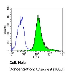 Anti-CD44 antibody [1M7.8.1] used in Flow cytometry (FCM). GTX15834