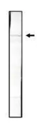 Anti-SMC1 antibody [C2M] used in Western Blot (WB). GTX16147