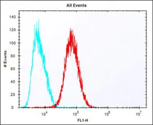 Anti-Epiregulin antibody used in Flow cytometry (FCM). GTX16256
