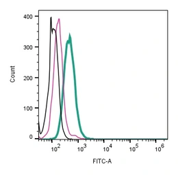 Anti-Kv1.3 antibody (FITC) used in Flow cytometry (FCM). GTX16679-06