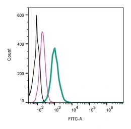 Anti-Kv1.3 antibody (FITC) used in Flow cytometry (FCM). GTX16679-06