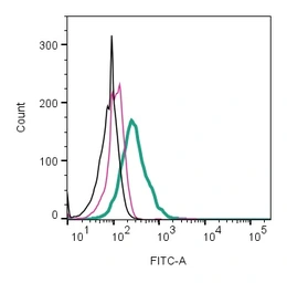 Anti-Kv1.3 antibody (FITC) used in Flow cytometry (FCM). GTX16679-06