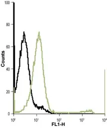 Anti-Kir7.1 antibody used in Flow cytometry (FCM). GTX16698