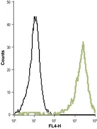 Anti-Kv1.5 antibody used in Flow cytometry (FCM). GTX16716
