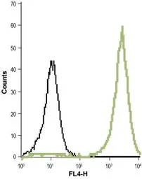 Anti-Maxi Potassium channel alpha antibody used in Flow cytometry (FCM). GTX16725