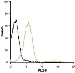 Anti-P2Y1 antibody used in Flow cytometry (FCM). GTX16924