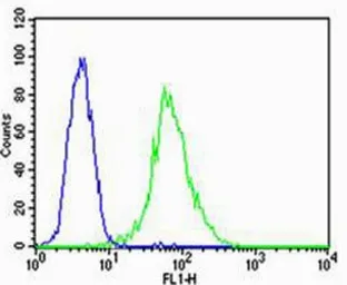 Anti-VEGF Receptor 3 antibody [818CT12.1.1] used in Flow cytometry (FCM). GTX17567