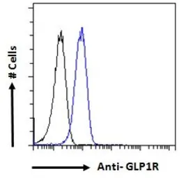 Anti-GLP1R antibody used in Flow cytometry (FCM). GTX17606