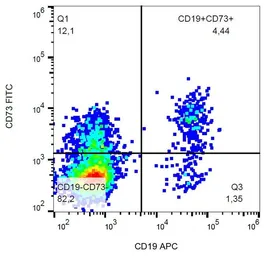 Anti-CD73 antibody [AD2] (FITC) used in Flow cytometry (FCM). GTX17626-06