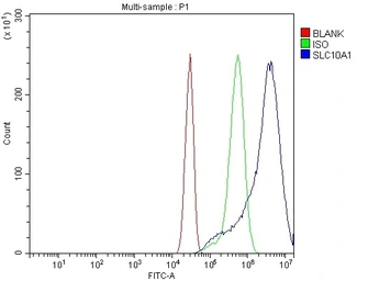 Anti-NTCP antibody used in Flow cytometry (FCM). GTX17693