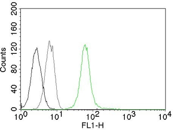 Anti-Vimentin antibody [VM452] used in Flow cytometry (FCM). GTX17723