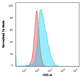 Anti-CD40 antibody [C40/2383] used in Flow cytometry (FCM). GTX18028