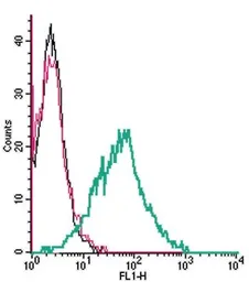 Anti-EAAT1 antibody used in Flow cytometry (FCM). GTX18175