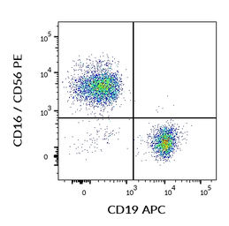 Anti-CD19 antibody [LT19] (APC) used in Flow cytometry (FCM). GTX18224