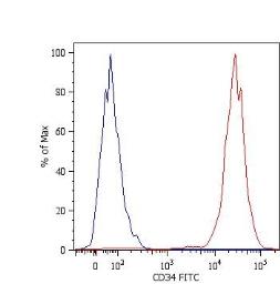 Anti-CD34 antibody [4H11(APG)] (FITC) used in Flow cytometry (FCM). GTX18227