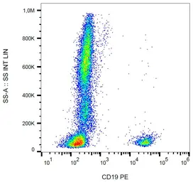 Anti-CD19 antibody [LT19] (PE) used in Flow cytometry (FCM). GTX18229