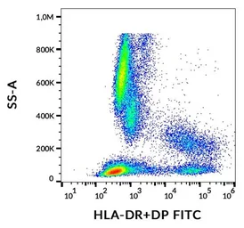 Anti-HLA-DR + HLA-DP antibody [HL-38] (FITC) used in Flow cytometry (FCM). GTX18232