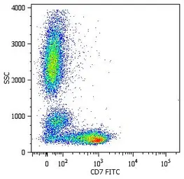 Anti-CD7 antibody [MEM-186] (FITC) used in Flow cytometry (FCM). GTX18276