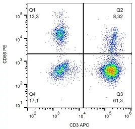 Anti-NCAM antibody [MEM-188] (PE) used in Flow cytometry (FCM). GTX18277