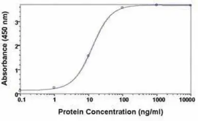 Anti-Fetuin A antibody used in  (). GTX19110