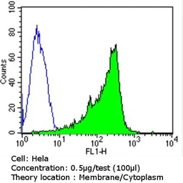 Anti-Her3 / ErbB3 antibody [RTJ2] used in Flow cytometry (FCM). GTX19389