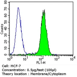 Anti-Her3 / ErbB3 antibody [RTJ2] used in Flow cytometry (FCM). GTX19389