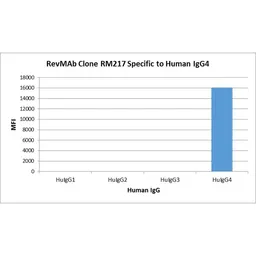 Rabbit Anti-Human IgG4 (Fc) antibody [RM217]. GTX20291