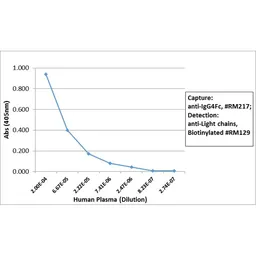 Rabbit Anti-Human IgG4 (Fc) antibody [RM217]. GTX20291