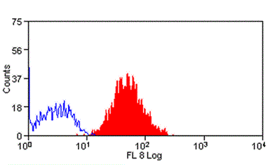 Anti-CD147 antibody [MEM-M6/1] used in Flow cytometry (FCM). GTX20666