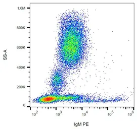 Mouse Anti-Human IgM (Fc) antibody [CH2] (PE). GTX20772-08