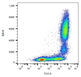 Anti-CD11b antibody [MEM-174] (APC) used in Flow cytometry (FCM). GTX21046-07