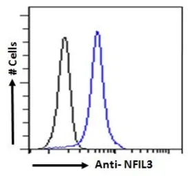 Anti-NFIL3 antibody used in Flow cytometry (FCM). GTX21078