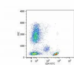Anti-CD4 antibody [MEM-241] used in Flow cytometry (FCM). GTX21089