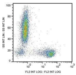 Anti-CD27 antibody [LT27] used in Flow cytometry (FCM). GTX21091