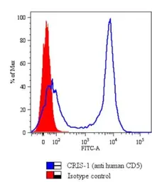 Anti-CD5 antibody [CRIS1] (FITC) used in Flow cytometry (FCM). GTX21156