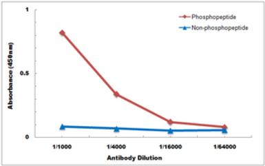 Anti-p53 (phospho Ser15) antibody used in ELISA (ELISA). GTX21431