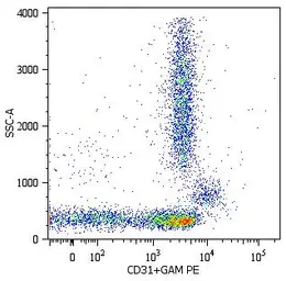 Anti-CD31 antibody [MEM-05] used in Flow cytometry (FCM). GTX22210