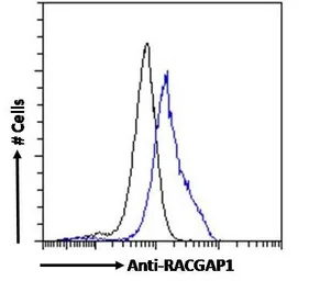 Anti-RACGAP1 antibody used in Flow cytometry (FCM). GTX22270